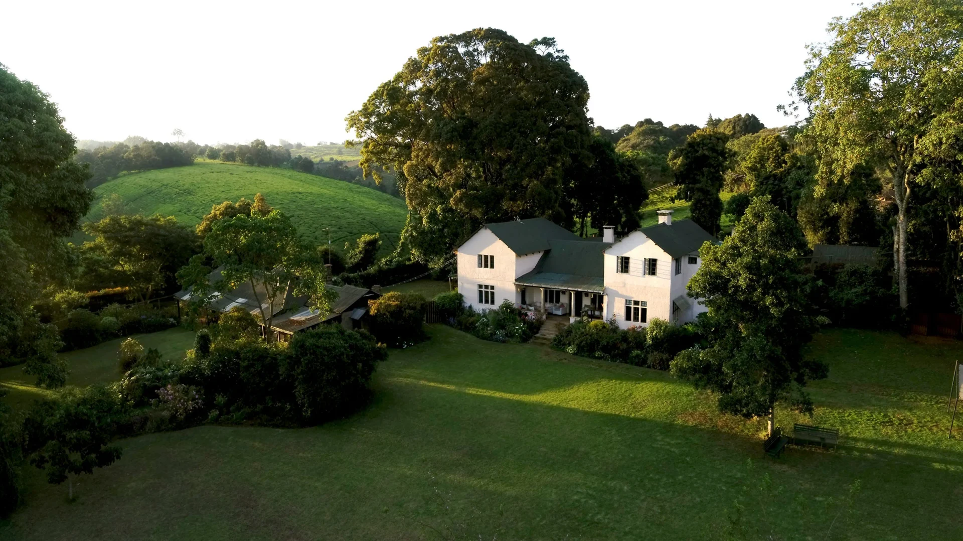 Kiambethu Tea Farm