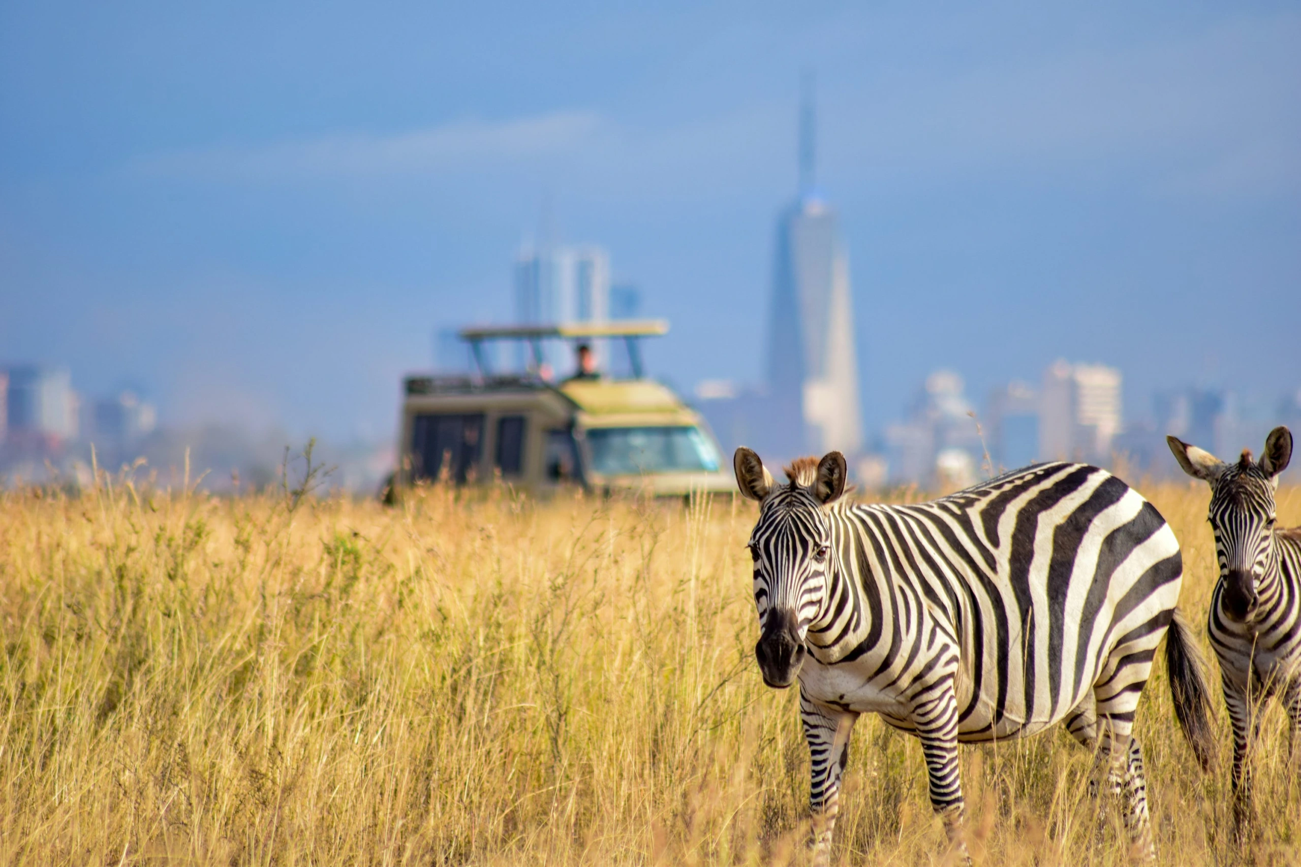 Best Time to Visit Kenya for Safari: A Month by Month Guide