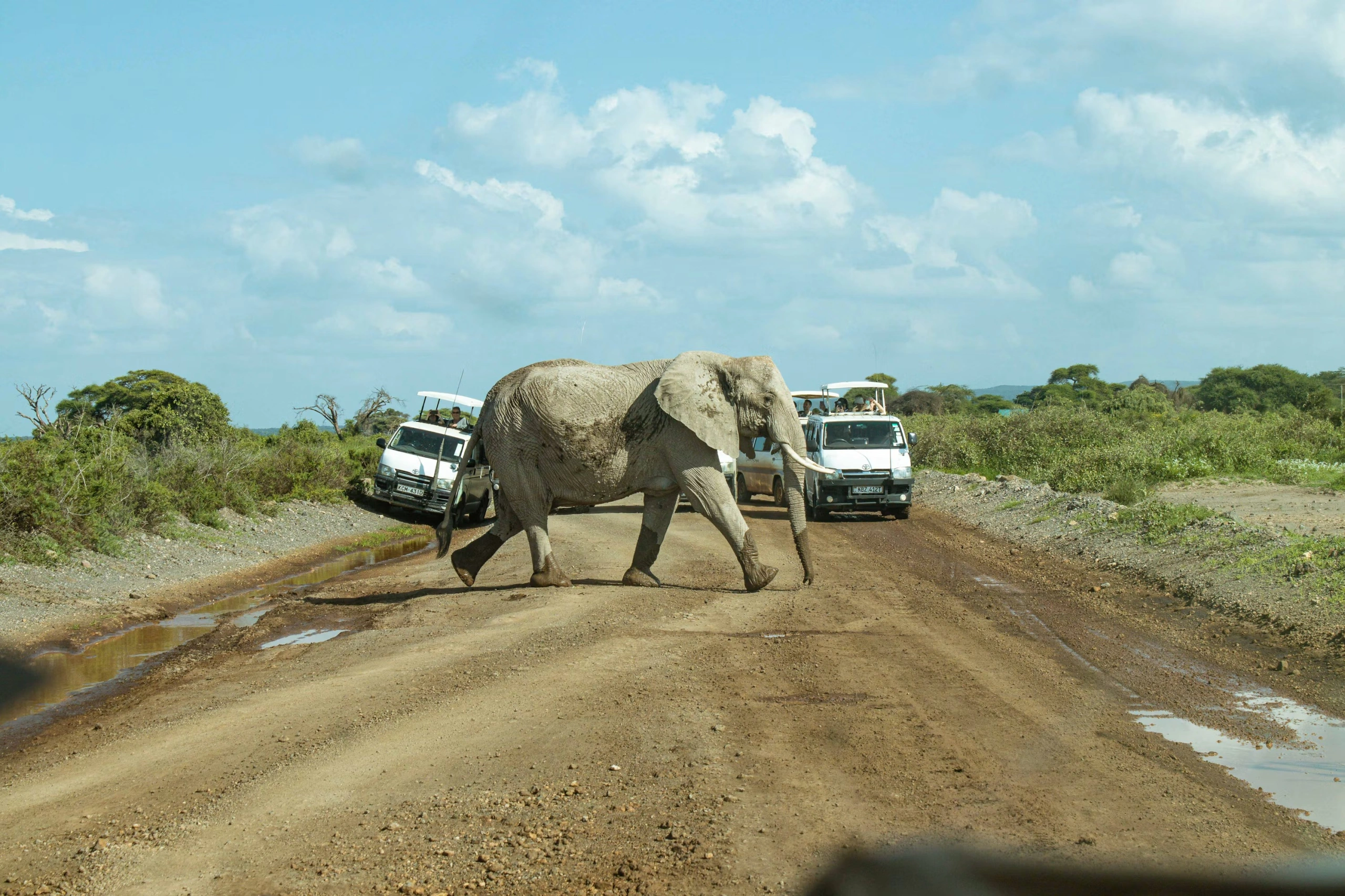 First Time Traveling to Kenya? A Complete Safari and Travel Guide