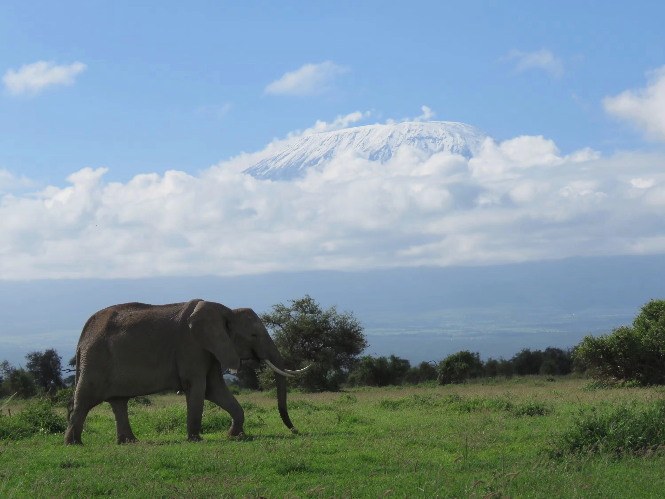 3-Day Amboseli Private Safari from Nairobi