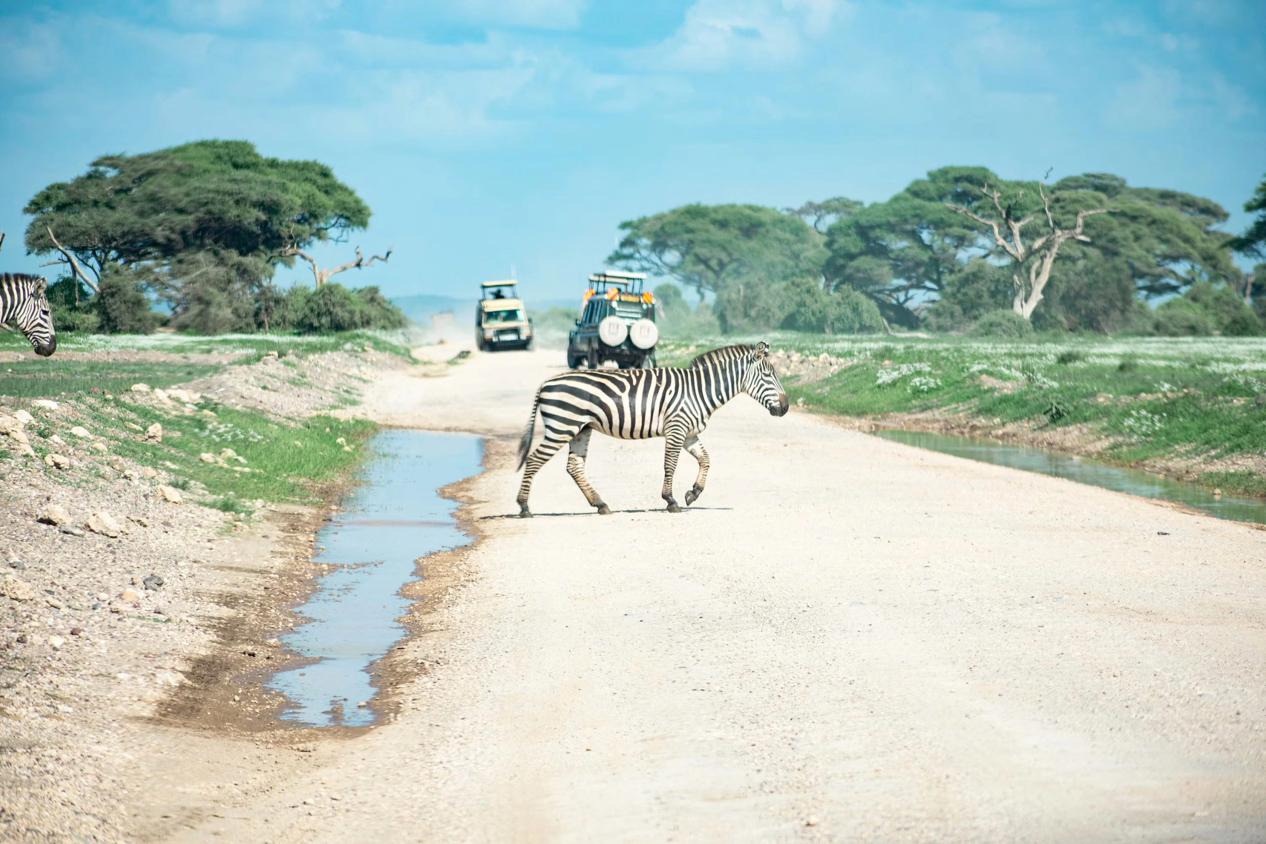 Wildlife spotting at Amboseli National park imgi 13 photo 1706397637320 bb7cde0c91eb