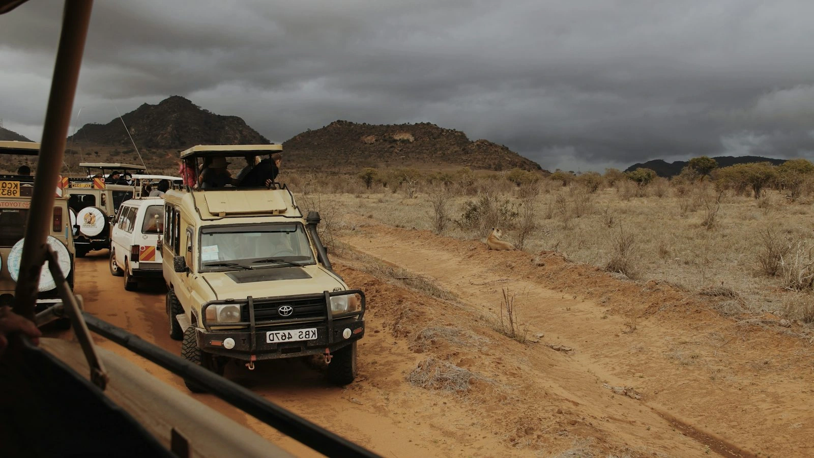 8 Day Amboseli and Tsavo Safari with Diani Beach