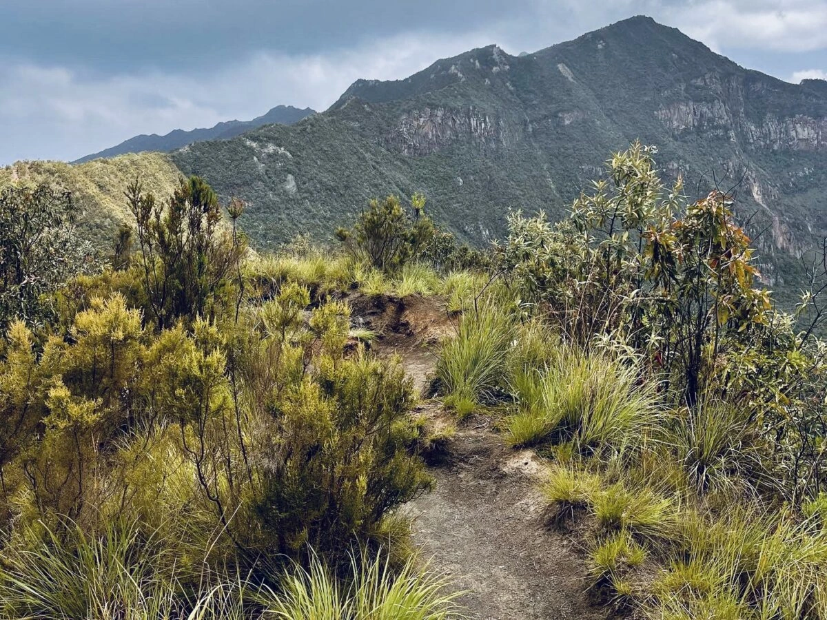 Mount Longonot mt longonot mountain